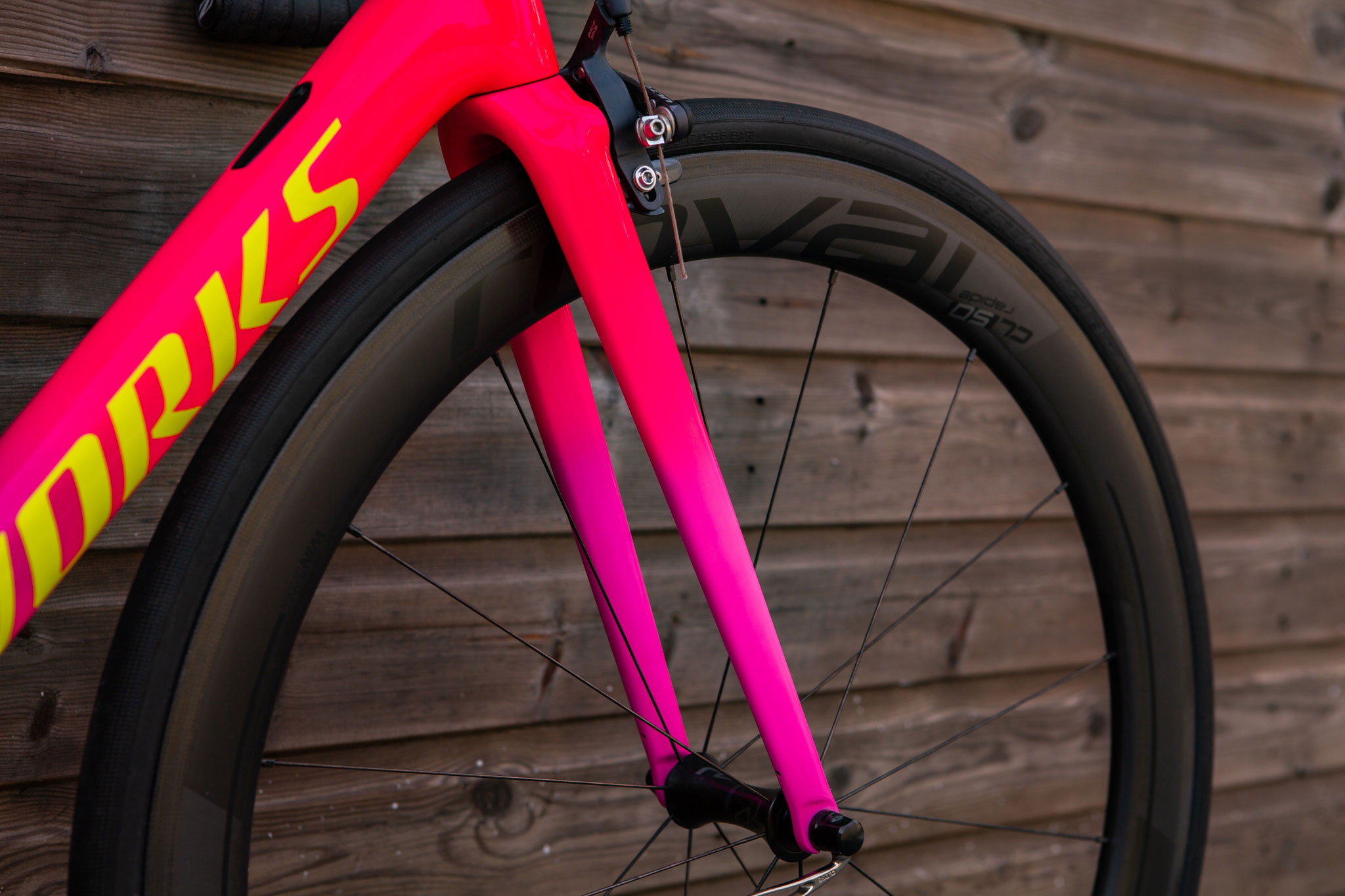 Specialized - pink